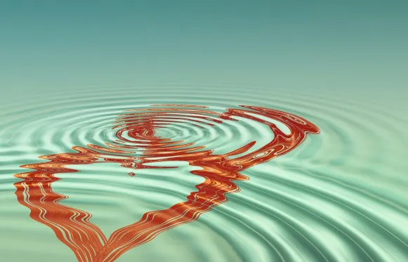 Rokubet Kasino Podpora